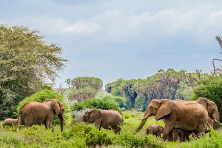 safari-twiga-privado-zanzibar-5039_13.jpg
