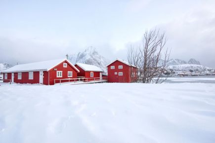 expedicao-ao-artico-tromso-e-ilhas-lofoten-1357_0.jpg