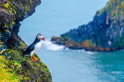 islandia-a-terra-do-fogo-e-do-gelo-577_0.jpg