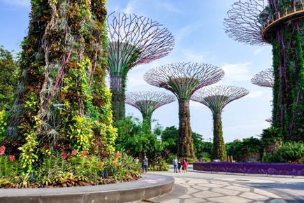 singapura-e-maldivas-1260_6.jpg